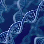 Test de Ancestros analizado por EGO Genomics en Sevilla  Genotica  al precio de 250€